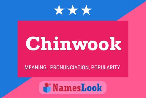 Постер имени Chinwook