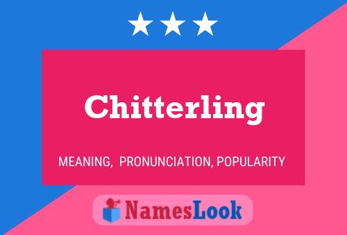 Постер имени Chitterling