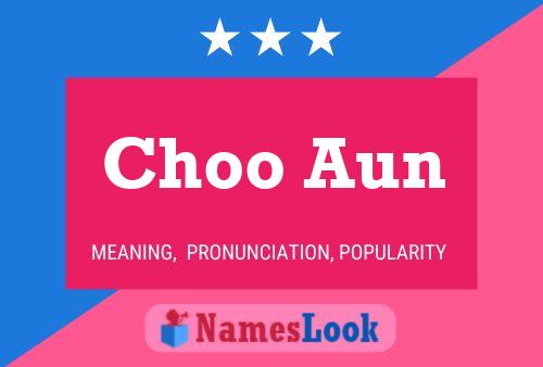 Постер имени Choo Aun