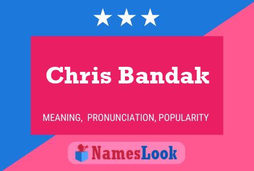 Постер имени Chris Bandak