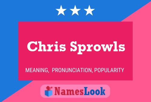 Постер имени Chris Sprowls