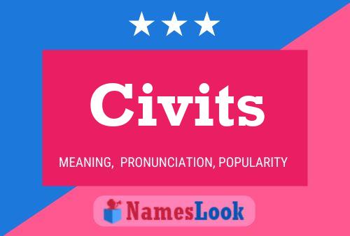 Постер имени Civits