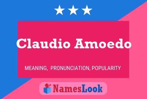 Постер имени Claudio Amoedo