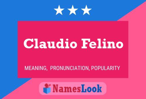 Постер имени Claudio Felino