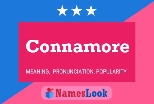 Постер имени Connamore