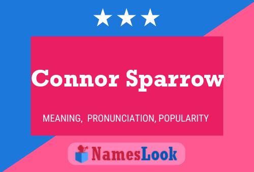 Постер имени Connor Sparrow