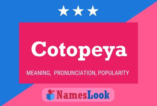 Постер имени Cotopeya