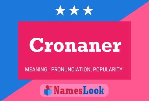 Постер имени Cronaner