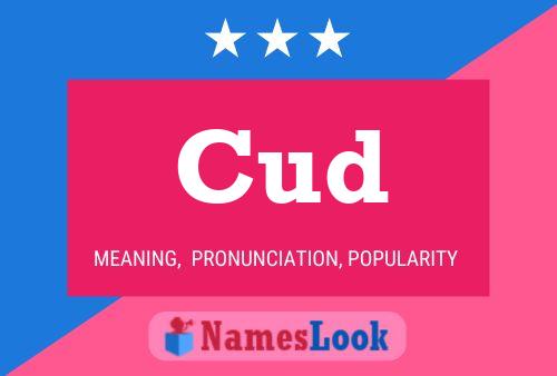 Постер имени Cud