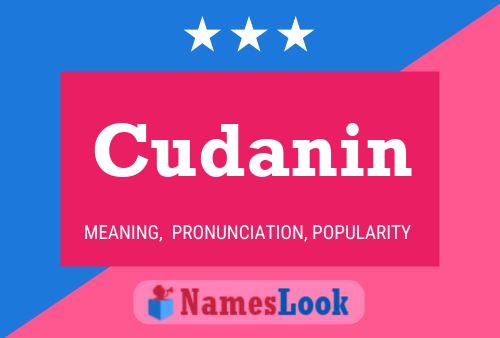 Постер имени Cudanin