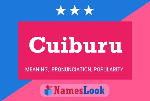 Постер имени Cuiburu