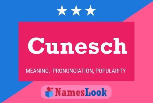 Постер имени Cunesch