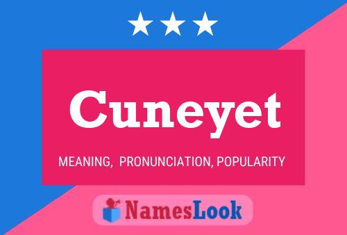 Постер имени Cuneyet