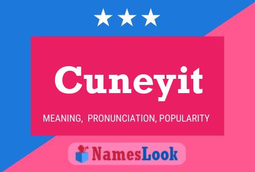 Постер имени Cuneyit