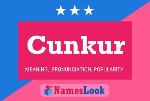 Постер имени Cunkur