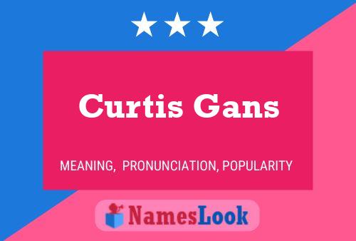 Постер имени Curtis Gans