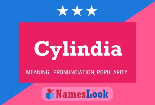 Постер имени Cylindia