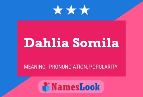 Постер имени Dahlia Somila