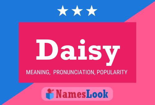 Постер имени Daisy