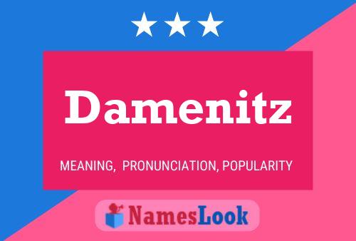 Постер имени Damenitz