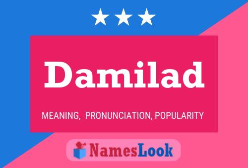 Постер имени Damilad