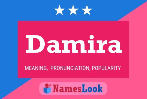 Постер имени Damira