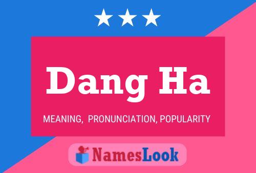 Постер имени Dang Ha