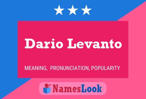 Постер имени Dario Levanto