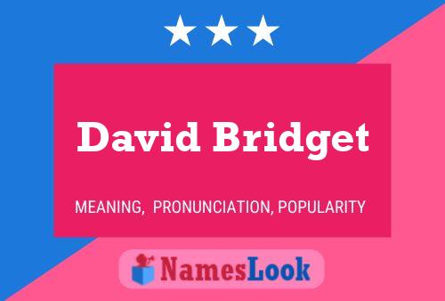 Постер имени David Bridget