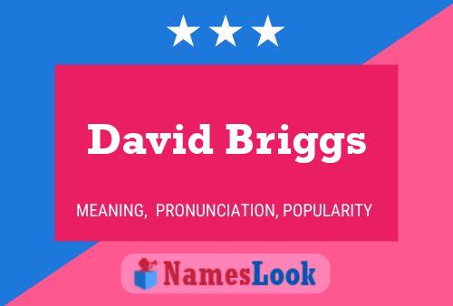 Постер имени David Briggs