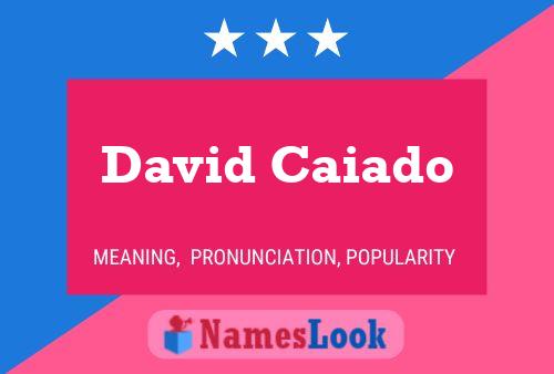 Постер имени David Caiado