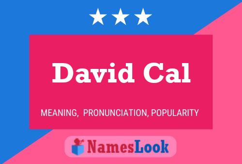 Постер имени David Cal