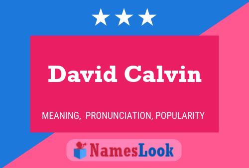 Постер имени David Calvin