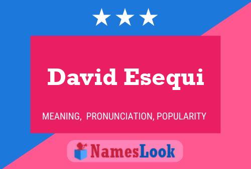 Постер имени David Esequi