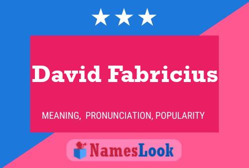 Постер имени David Fabricius