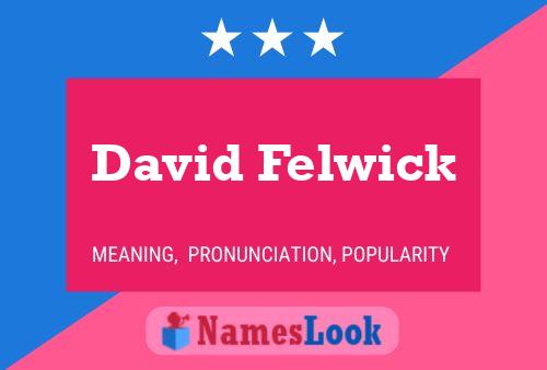 Постер имени David Felwick