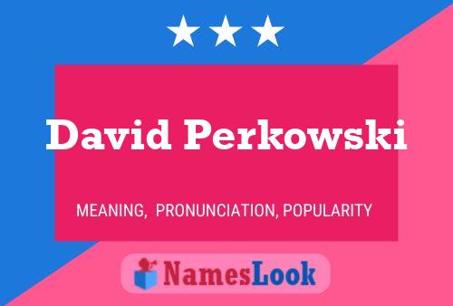 Постер имени David Perkowski