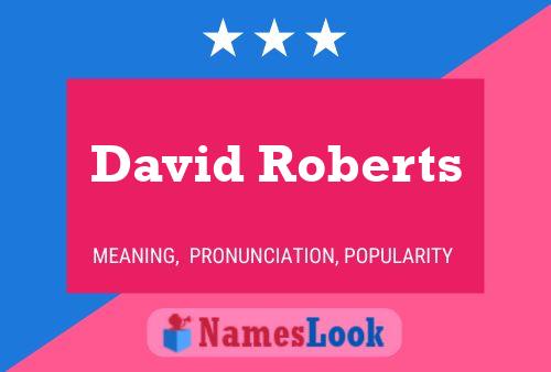 Постер имени David Roberts