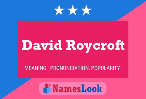 Постер имени David Roycroft