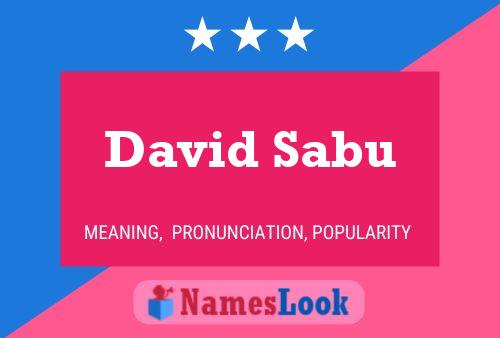 Постер имени David Sabu