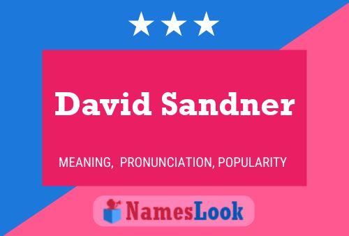 Постер имени David Sandner