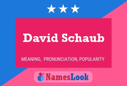 Постер имени David Schaub