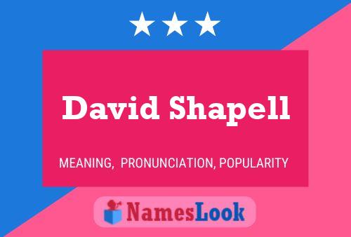 Постер имени David Shapell