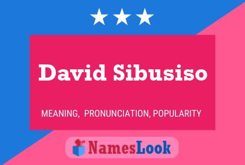 Постер имени David Sibusiso