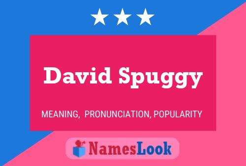 Постер имени David Spuggy