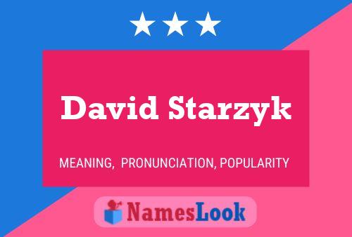 Постер имени David Starzyk