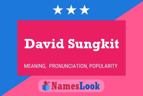 Постер имени David Sungkit