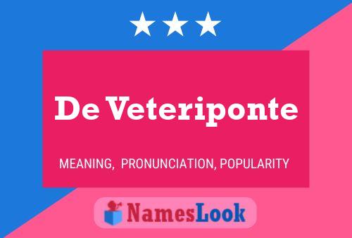 Постер имени De Veteriponte