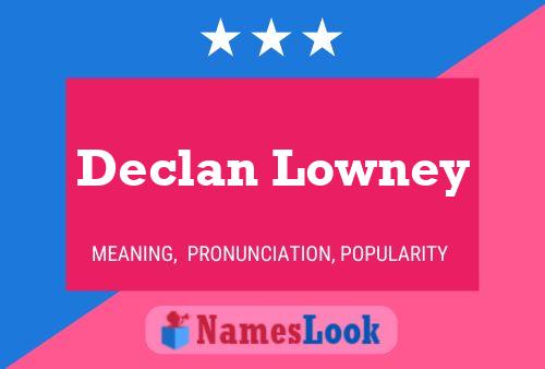 Постер имени Declan Lowney