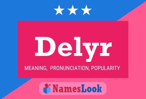 Постер имени Delyr